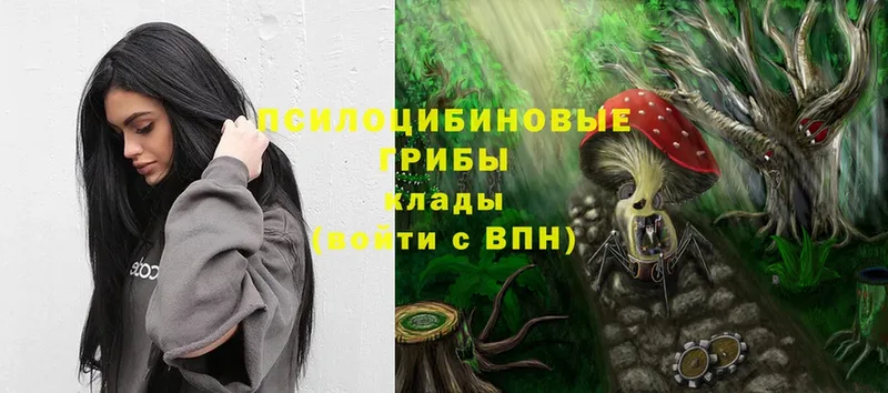 Галлюциногенные грибы Magic Shrooms  продажа наркотиков  Каневская 